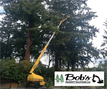 Enhancing Lakewood's Natural Beauty: The Importance of Tree Trimming with Bob's Property Solutions